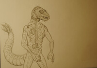 Anthro Water-Borne Fly Larva