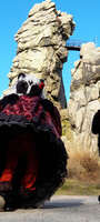 Fursuitwalk at the Externsteine/Germany 4