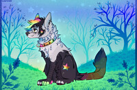 Ian [Colorful dream]