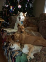 My pack