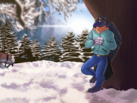 Winter in the midwest