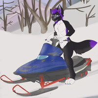 Snowmogo #1