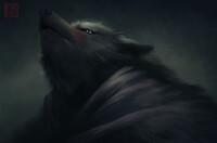 Blaidd Portrait Fan Art