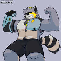 A pretty buffed raccoon showing off the goodies!