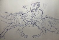 Tenonto male rivalry