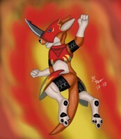 Flameroomon 3k