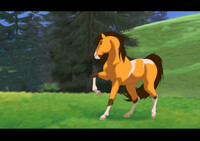 Spirit's foal