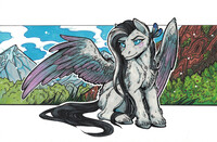 Wings