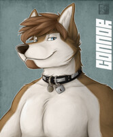 Connor Drake