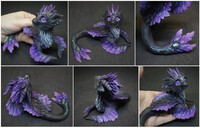 Coral dragon Labradorite