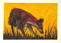 Cadmium Fox III