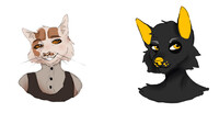 requests