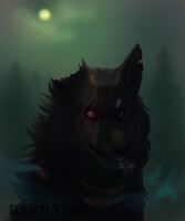 Night and wolf