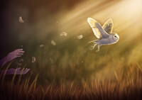 Farewell Nan. Fly free