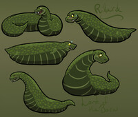 Rillard Practice