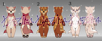 Adopt (OPEN)