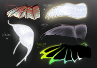 Wing design test