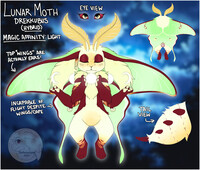 Lunar Moth x Drekkubus Hybrid CLOSED!