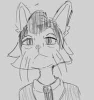 arms dealer cat 4