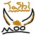 Tashi's complicated internals explained