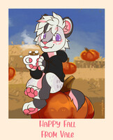 Pumpkin Polaroid (Vale)