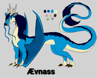 First design of Ævnass