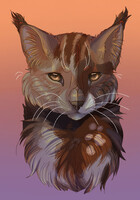 Midnight  Warrior cats by plush_nessie -- Fur Affinity [dot] net