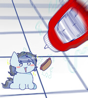 COM: Ketchup