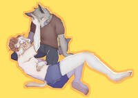 small dog, big sheep.