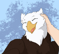 Griffon Scritches