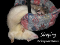Sleeping Business
