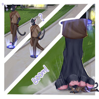 for ☆ MentallyConfusedDuck