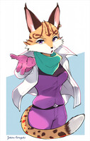 TV Anime series Star Fox Axel by Yukina-Namagaki -- Fur Affinity