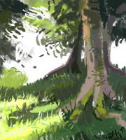 background