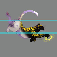 celestial tiger adopt