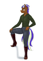 Teles Equestrian syndicates