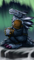 WereGarurumon Under The Aurora