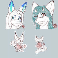 February Patreon Rewards
