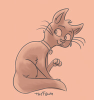 Kat