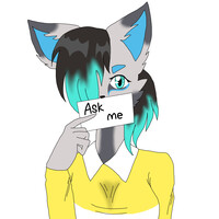 Ask Airo