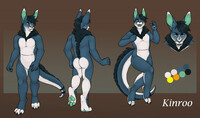 Kinroo Ref Sheet