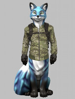 Whiskey Tango Foxtaur