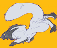 Wulg 2