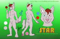 Star the Coyote