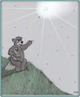 The  shooting  star!