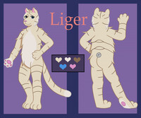My reference sheet of my fursona, Liger!