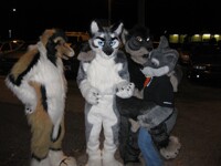 wtf just happened.....