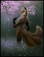 Cherry Blossoms