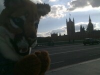 "...all your base..."