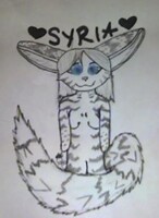 Syria Bust Badge [sketch]